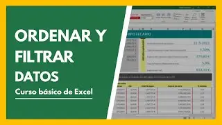 How to Sort and Filter Data in Excel by Multiple Criteria 👩‍🏫 Beginner Tutorial