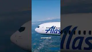 The only case of a fish falling on a plane 