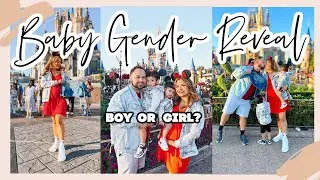 GENDER REVEAL AT DISNEY WORLD