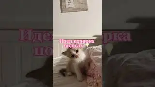 Подарки подруге с вб💅