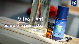 Vitex Leaf