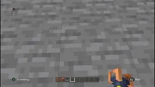 Elytra testing/Half of my amazing cart ride!