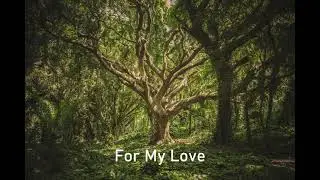 For My Love (reissue)