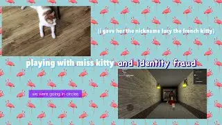 Playing with miss kitty and identity fraud w/ @caramelblossom9621