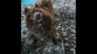 Невероятные глазища 🙈