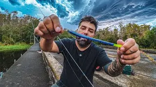 Só queria PESCAR, Chegou 6 AMERICANO pra me tirar do LAGO