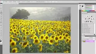 Photoshop CS5   Kullanıcılardan Gelen İstekler ve Geliştirmeler