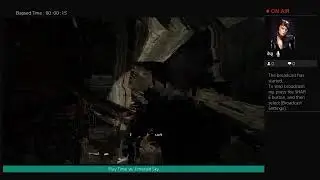 The last of Us PT2