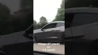 Stock Kia stinger GT VS. stock mustang 5.0  
