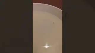 8 августа 2019 г.(2)