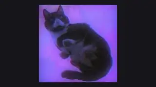 Cyter - Purple Skies (Chillsynth)