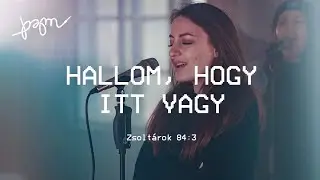 PZM - Hallom, hogy itt vagy