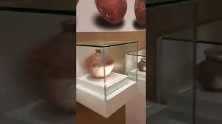 Archaeological Museum in Madurai #shorts