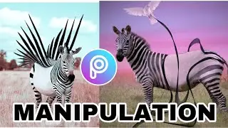 Manipulation in Picsart | #zebra | Picsart tutorials
