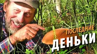#20 Last Days on the White Sea | Pancakes with Mussels | Hike 2021