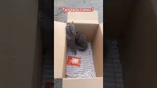 где ты добрый человек?