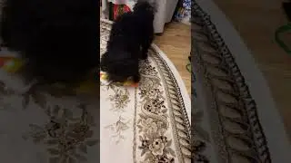 18 января 2024 г.