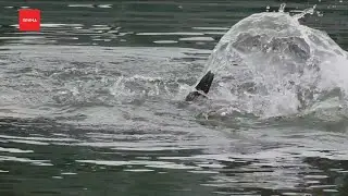 Еще два человека утонули в водоемах края
