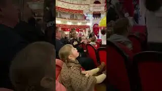 Алиса на новогоднем празднике. Декабрь 2023г.
