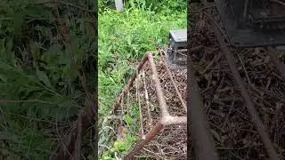 веткорез до 3 см (результат работы)