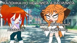 Василиса калонка
