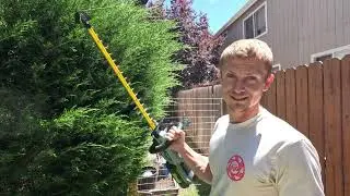 Is EGO Hedge Trimmer Worth Buying? (HT2411 Review and Initial Thoughts)