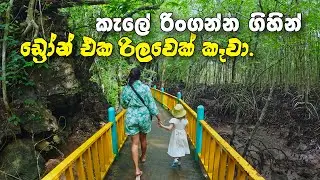 I Survived a Monkey Attack in Kilim Geoforest Park!