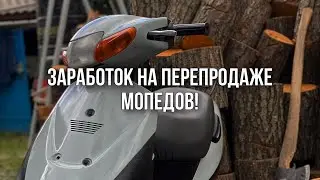 КАК ЗАРАБОТАТЬ НА ПЕРЕПРОДАЖЕ МОПЕДОВ? НОВЫЙ ПРОЕКТ!