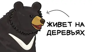 Ты - Гималайский Медведь (И ЭТО ВСЯ ТВОЯ ЖИЗНЬ)