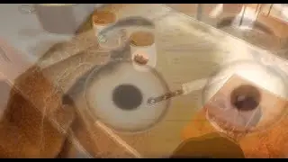 the miie meal™ - cooking simulator vr