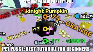 How to USE Keys In Pet Posse?🔑 [BEST FOR BEGINNERS ONLY]
