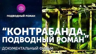 д/ф 