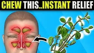 Drink It or Chew It Dissolve Mucus Your Sinus, Chest & Lungs Will Love You (not what you think)