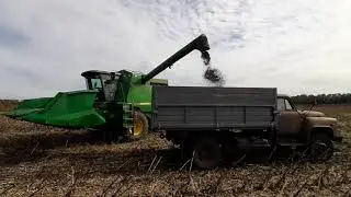 Сингента КАДІКС .Ціна і Врожай в 2021 году