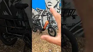 bici elettrica cargo compatta