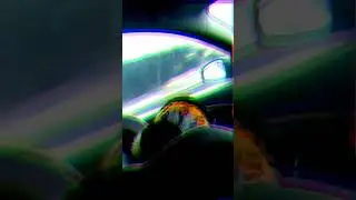 Когда ты в теме🤪