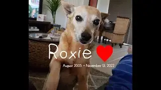 One Year without her Beautiful Face