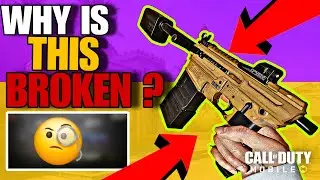 No One Uses This Gun… But It MELTS With the Right Loadout 😱