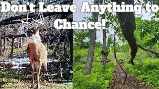 Building a High Odds Rut Stand w/ Deer Habitat Improvements