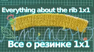 Everything You Always Wanted to Know About Ribbing 1 x 1 (But didn't know where to ask)