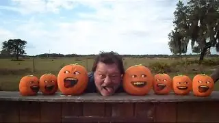 Stupid Orange In Nightmares Of Trains