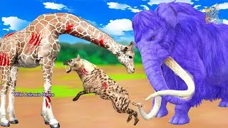 Giant Hyena Attack Giraffe, Cow, Buffalo Saved By Woolly Mammoth Elephant Epic Battle Fight