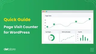 How to Track Website Traffic with Page Visit Counter for WordPress 🚦