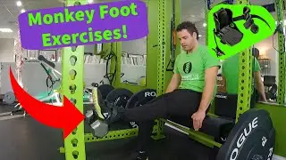 Monkey Foot Exercises! Endless Possibilities of Movements!