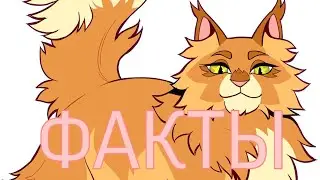 Факты о Звездном Цветке|«Коты-Воители»