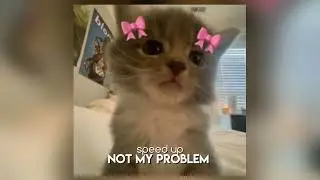 |^♪song «Not my problem» /speed up/^)⚝