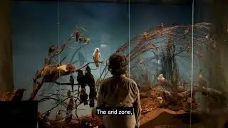 South Australian Biodiversity Gallery