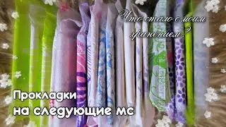ПРОКЛАДКИ НА СЛЕДУЮЩИЕ МС|Сентябрь 2021| Хранение |