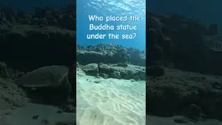 mind relax Buddha statue under the sea | Who placed the |බුදු පිළිමය කවුද මුහුද යටින් තිබ්බේ