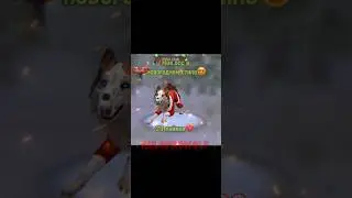 Вы выбираете мне скин на неделю❤️ 
